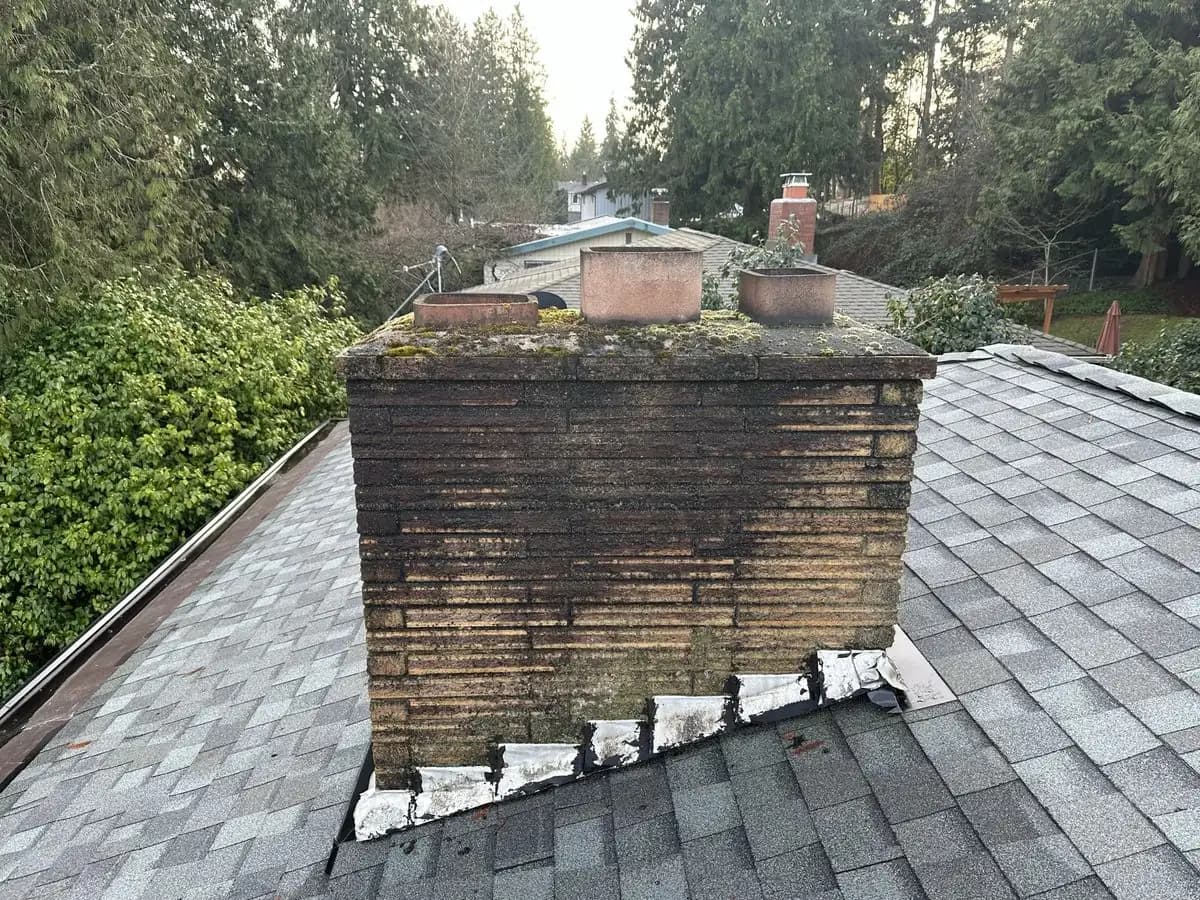 Before: Mossy and weathered chimney exterior
