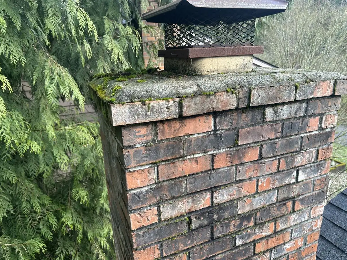 Beautiful brick chimney among mature trees